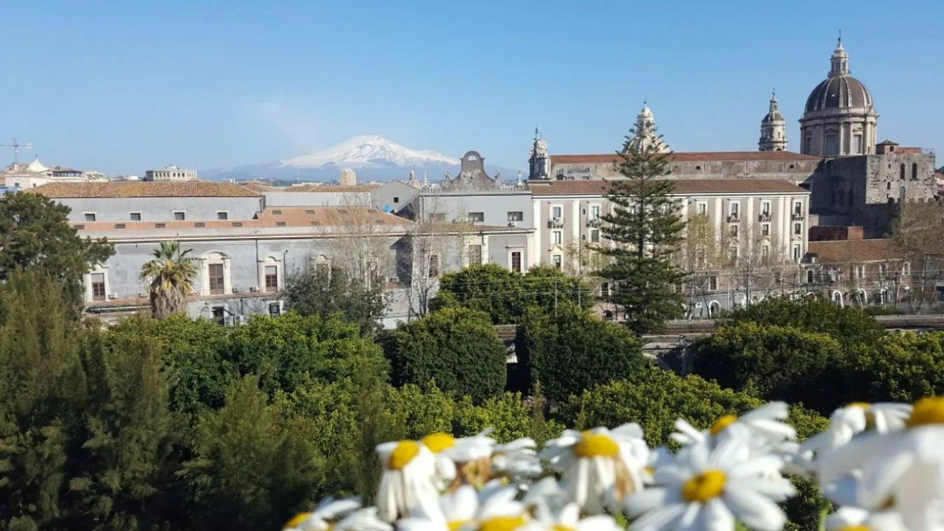 Attico Mea Apartment Catania